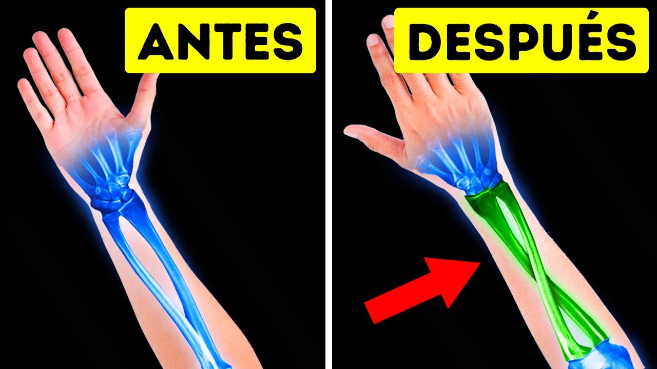 100 curiosidades del cuerpo humano