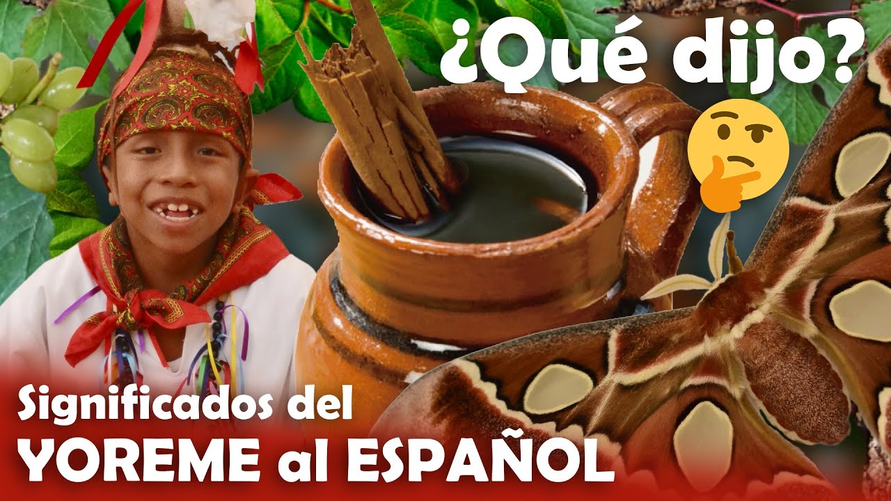 5 palabras en lengua mayo y su significado