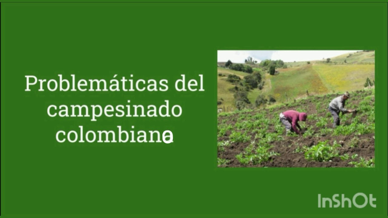 8 problemas de las zonas rurales
