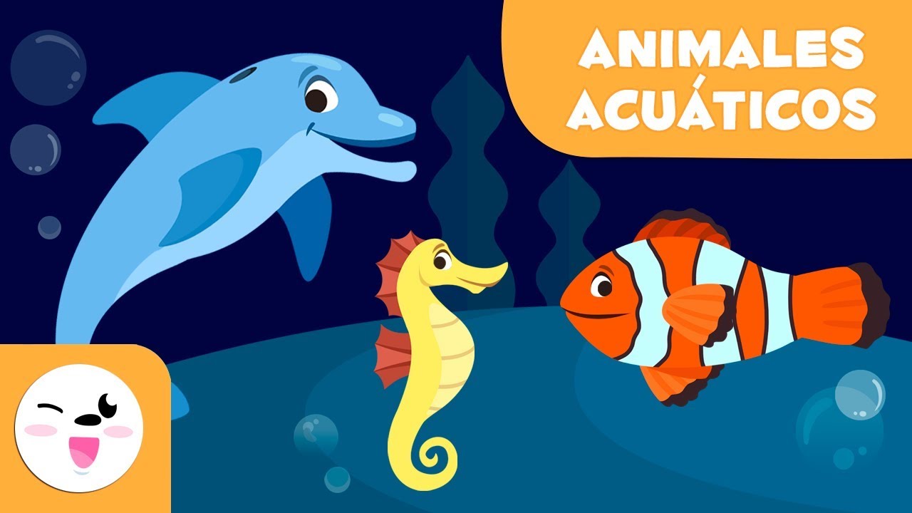 animales de agua dulce para niños