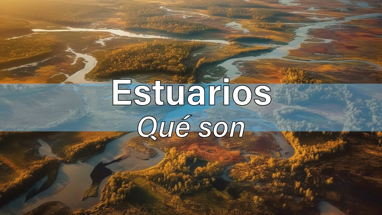 cuál es la fauna de los estuarios