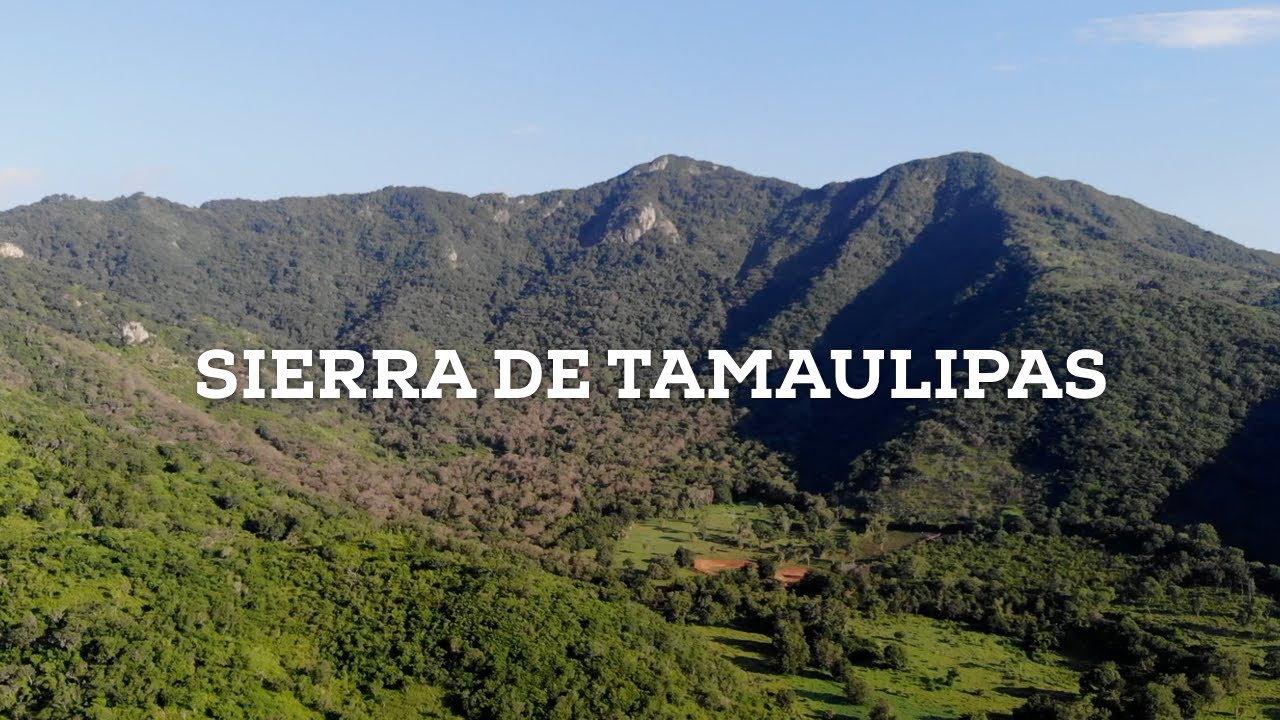 cuales son las sierras de tamaulipas