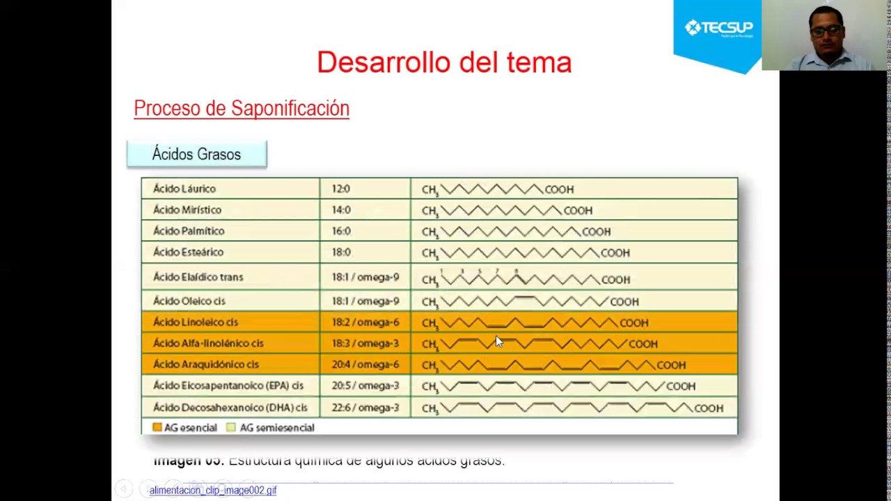 cuales son los reactivos y productos de la saponificacion