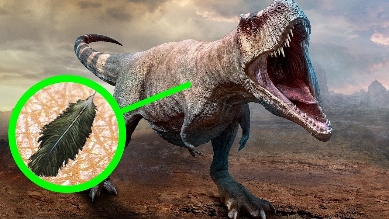 datos importantes de los dinosaurios