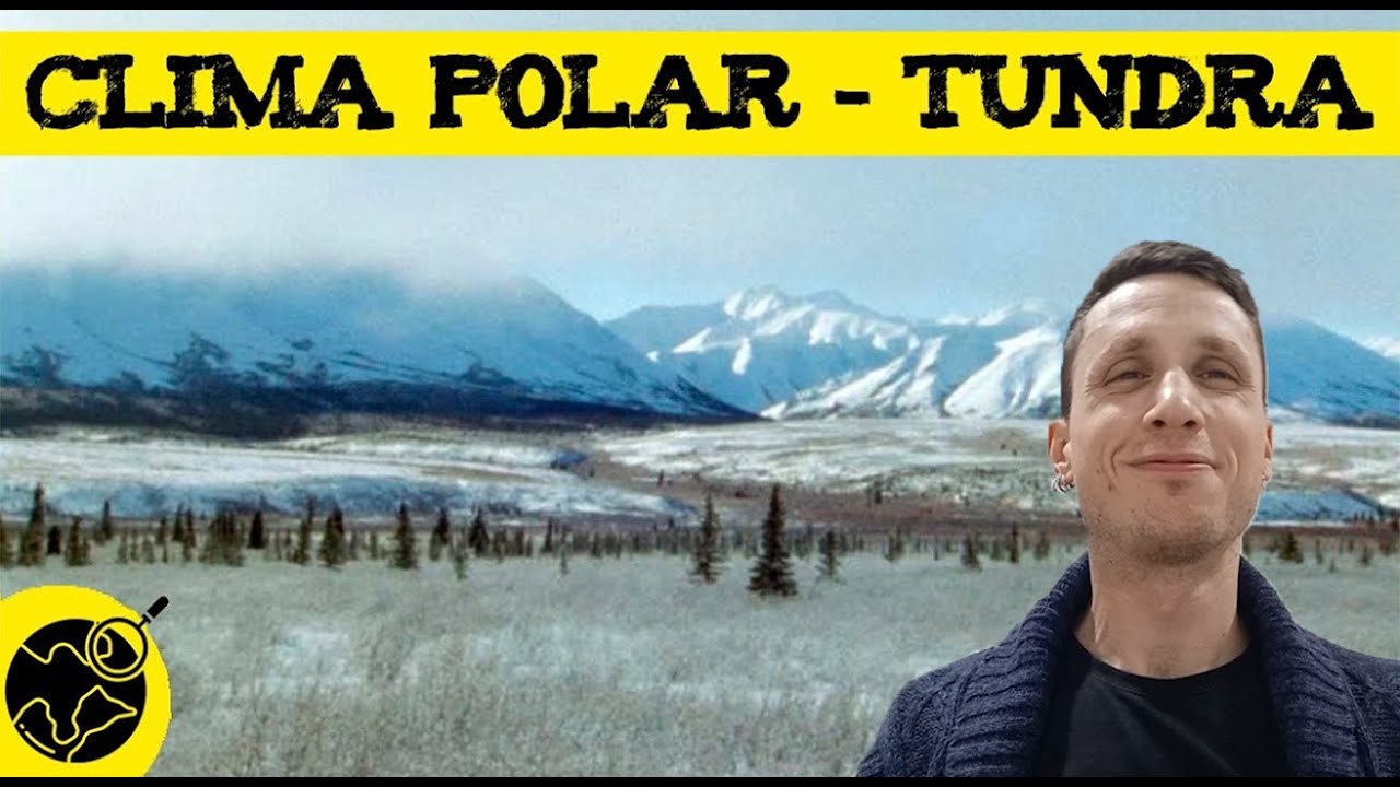 donde se encuentra el clima polar