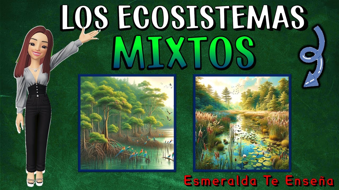 ecosistema mixto flora y fauna