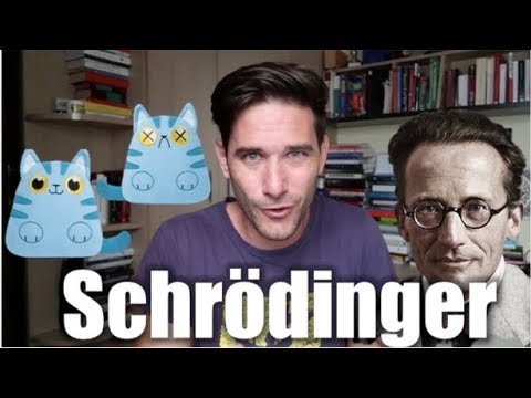 erwin schrödinger aportaciones a la fisica