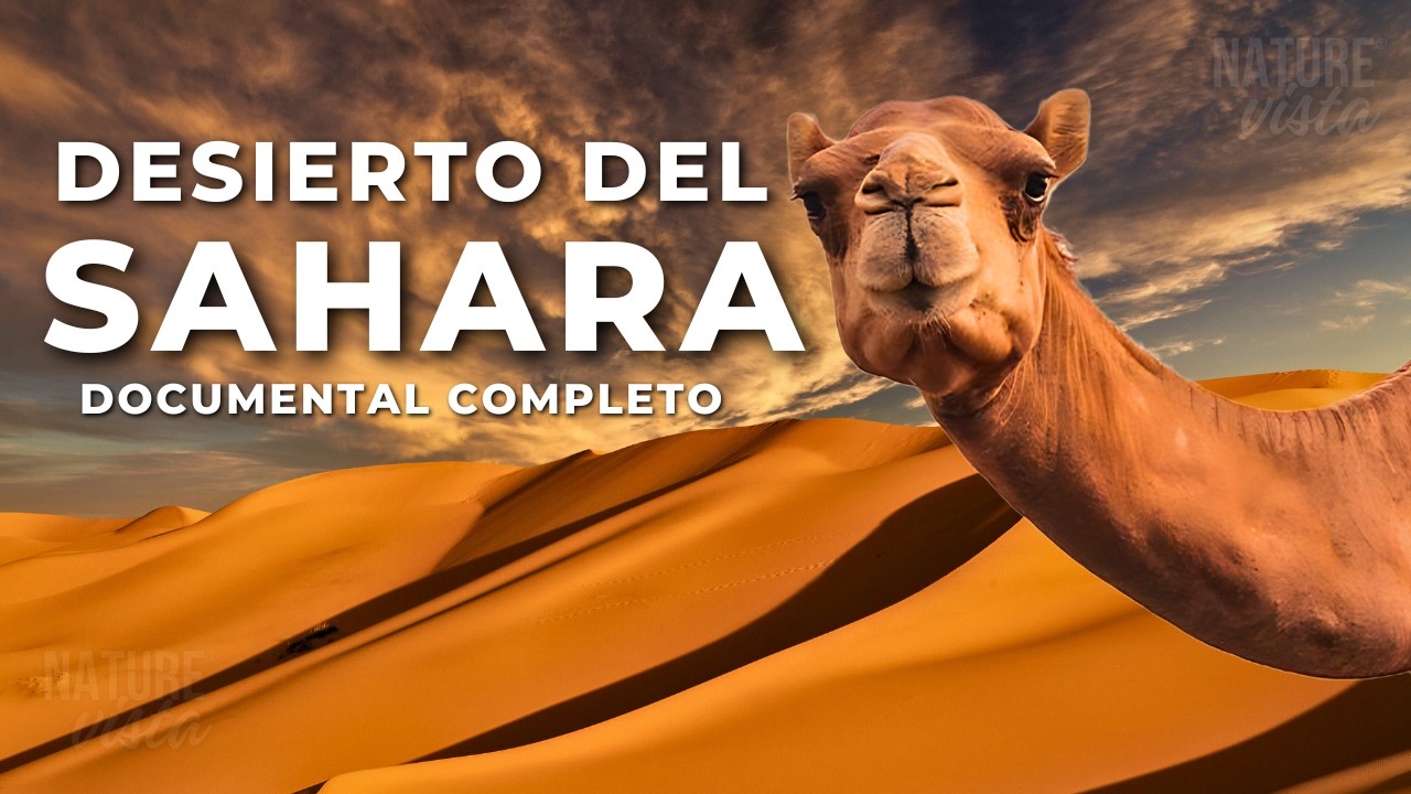 flora del desierto del sahara