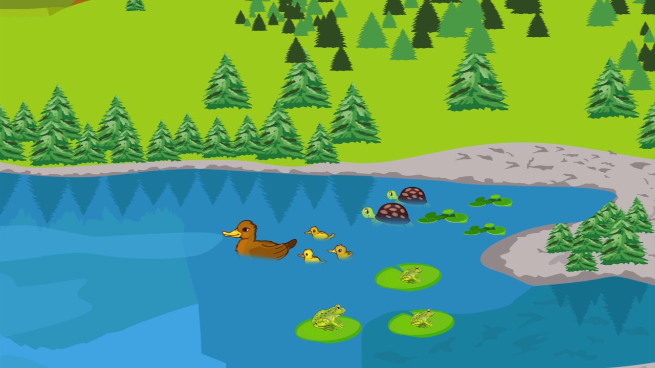 flora y fauna de los lagos