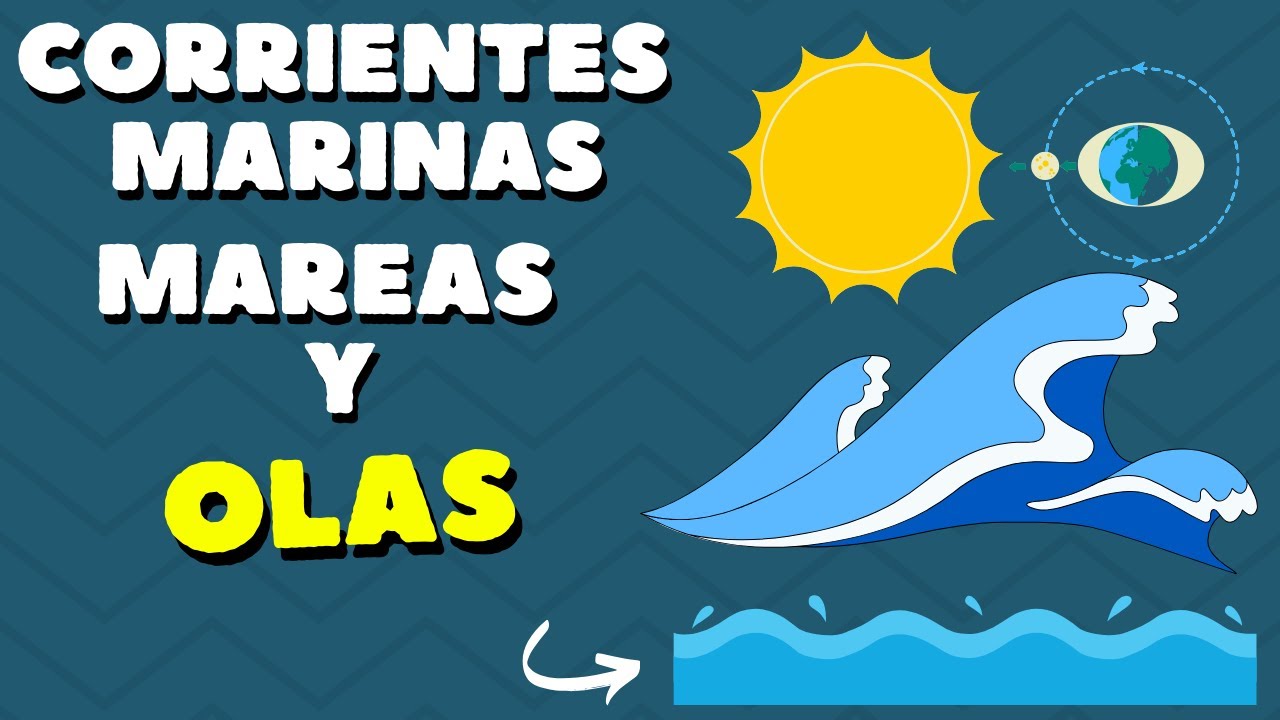 importancia de las corrientes marinas mareas y olas