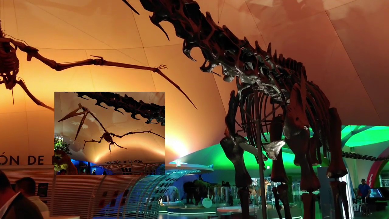 museo de ciencias naturales de mexico