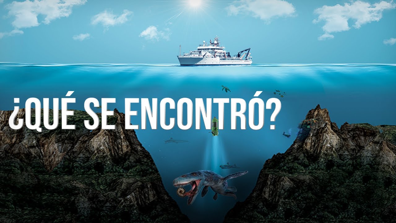 pasan mucho tiempo en el oceano