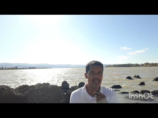 porque les dicen jarochos a los veracruzanos