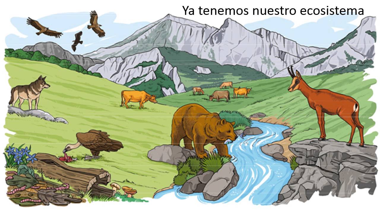que animal se come a quien