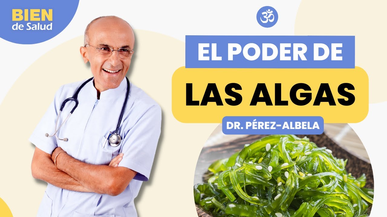 qué son algas marinas y sus beneficios