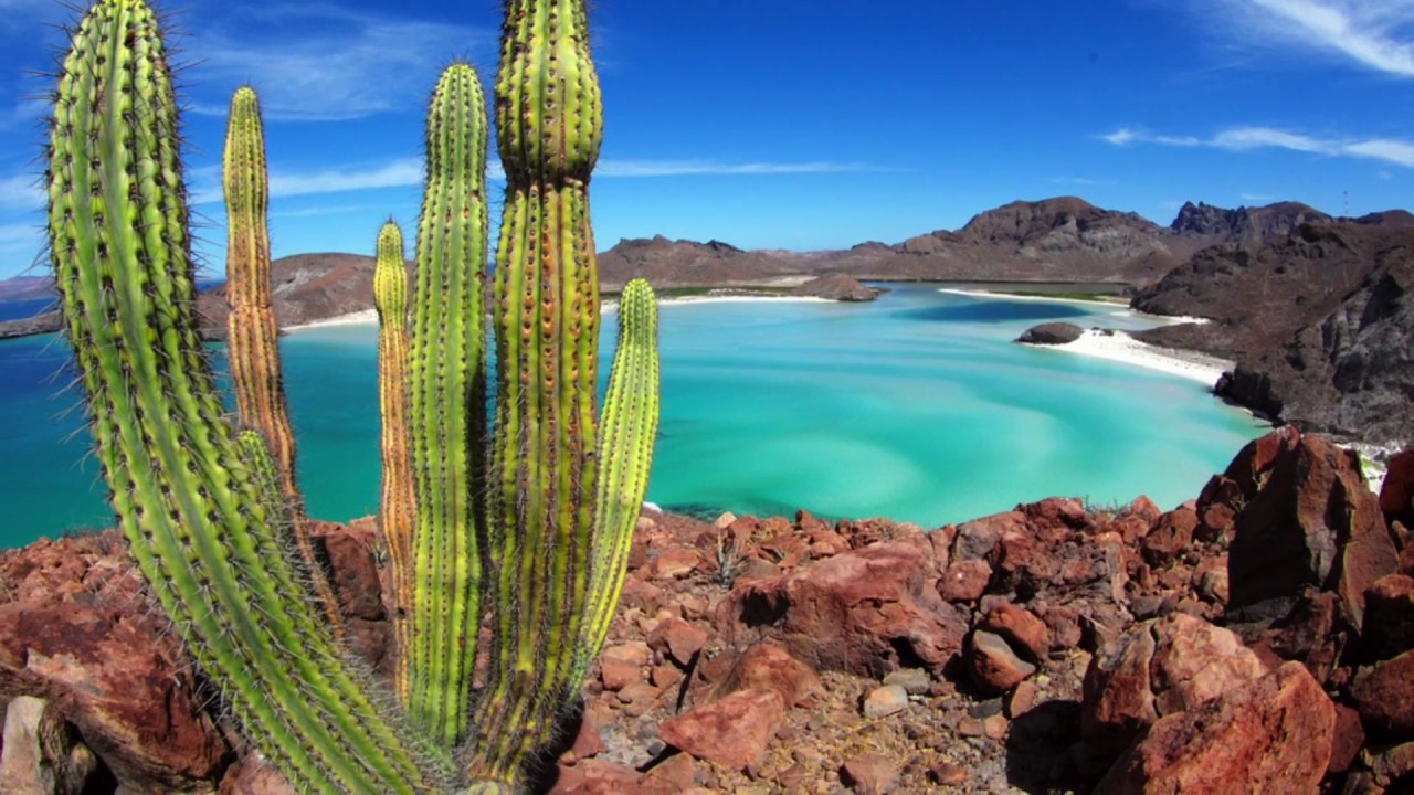 área de protección de flora y fauna cabo san lucas