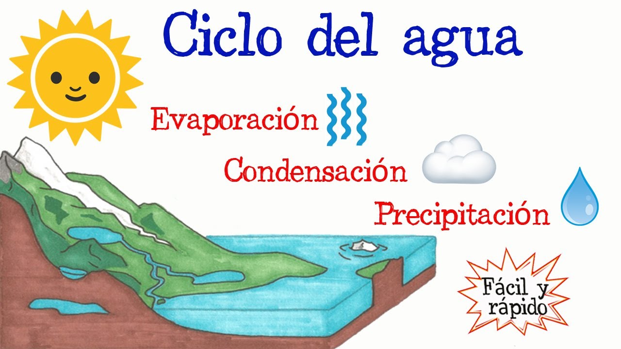 articulo cientifico sobre el ciclo del agua
