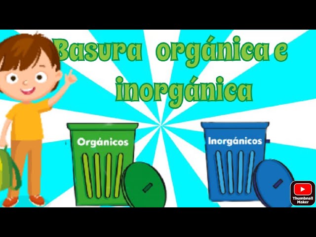 basura organica e inorganica actividades