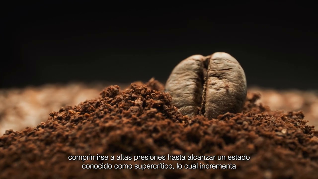 como se le quita la cafeina al cafe