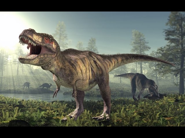 cuál es el dinosaurio rex
