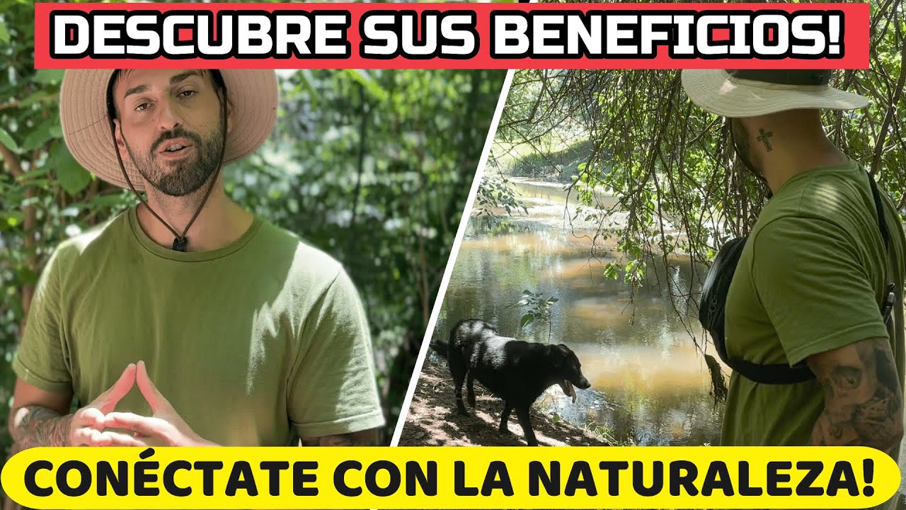 cuales son las bondades que te ofrece un ambiente natural