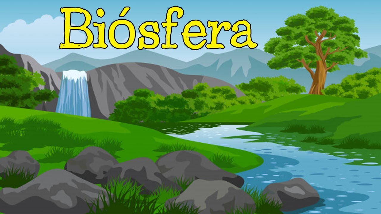 cuales son las principales caracteristicas de la biosfera