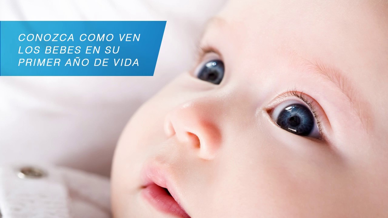 cuantos bebes nacen al dia
