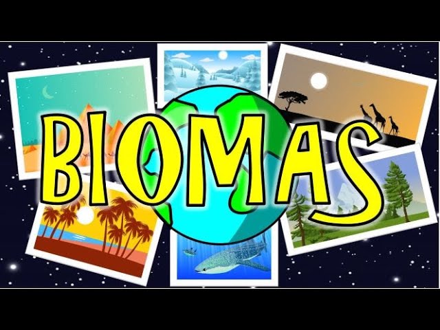 diferencia entre bioma y biomasa