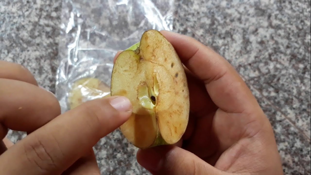 experimento de la descomposicion de los alimentos