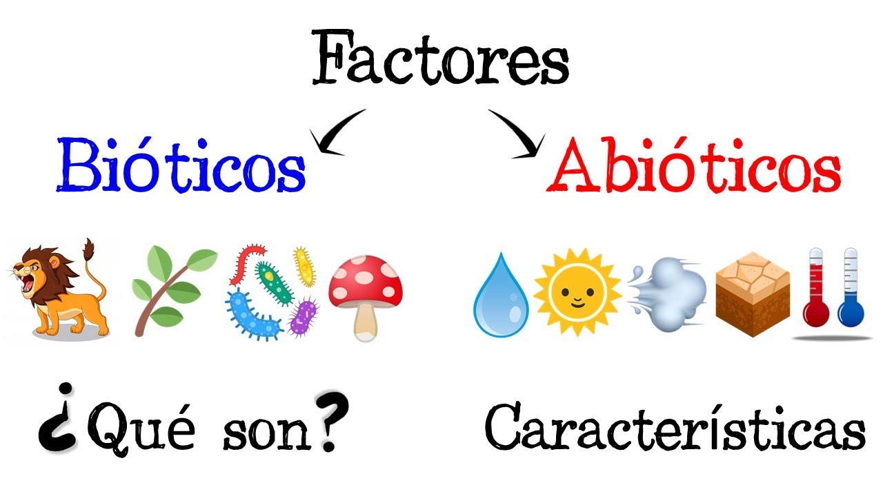 factores bioticos y abioticos actividades