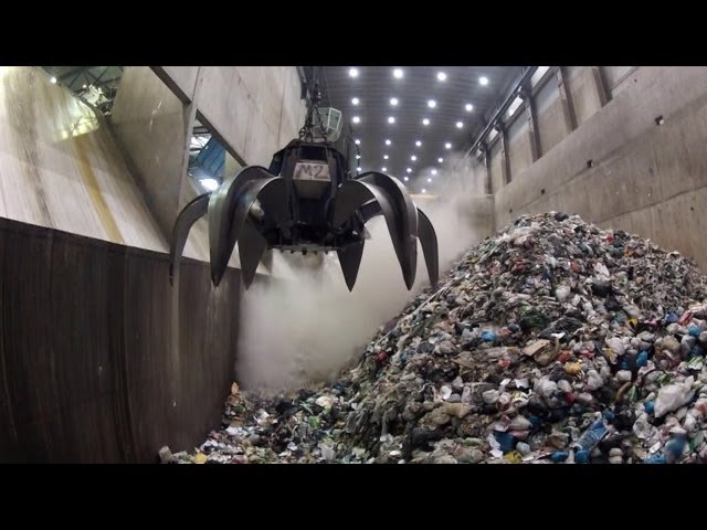 impacto biológico de separar la basura