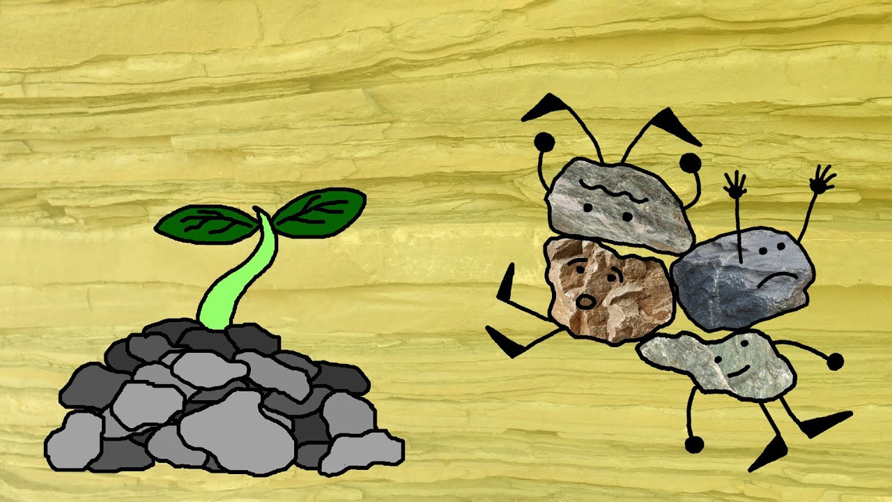 importancia de las rocas sedimentarias