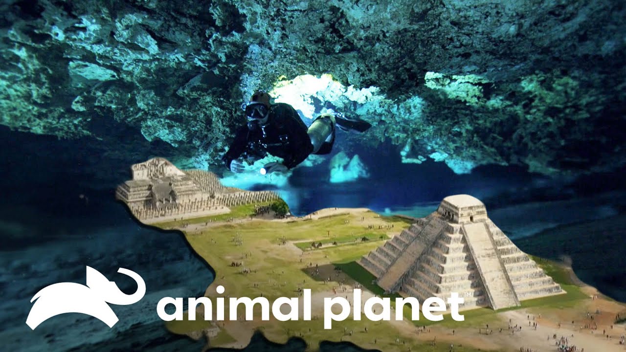informacion sobre los cenotes de yucatan