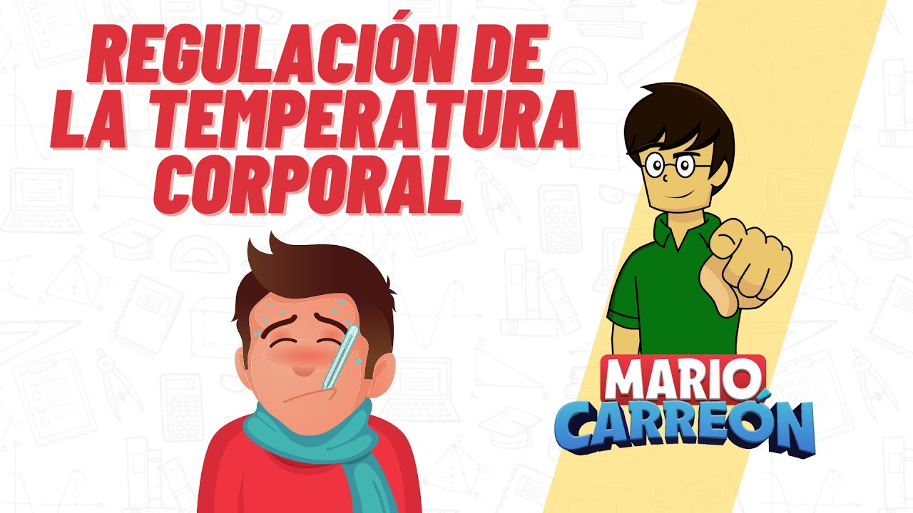 propiedades del agua regulacion de la temperatura