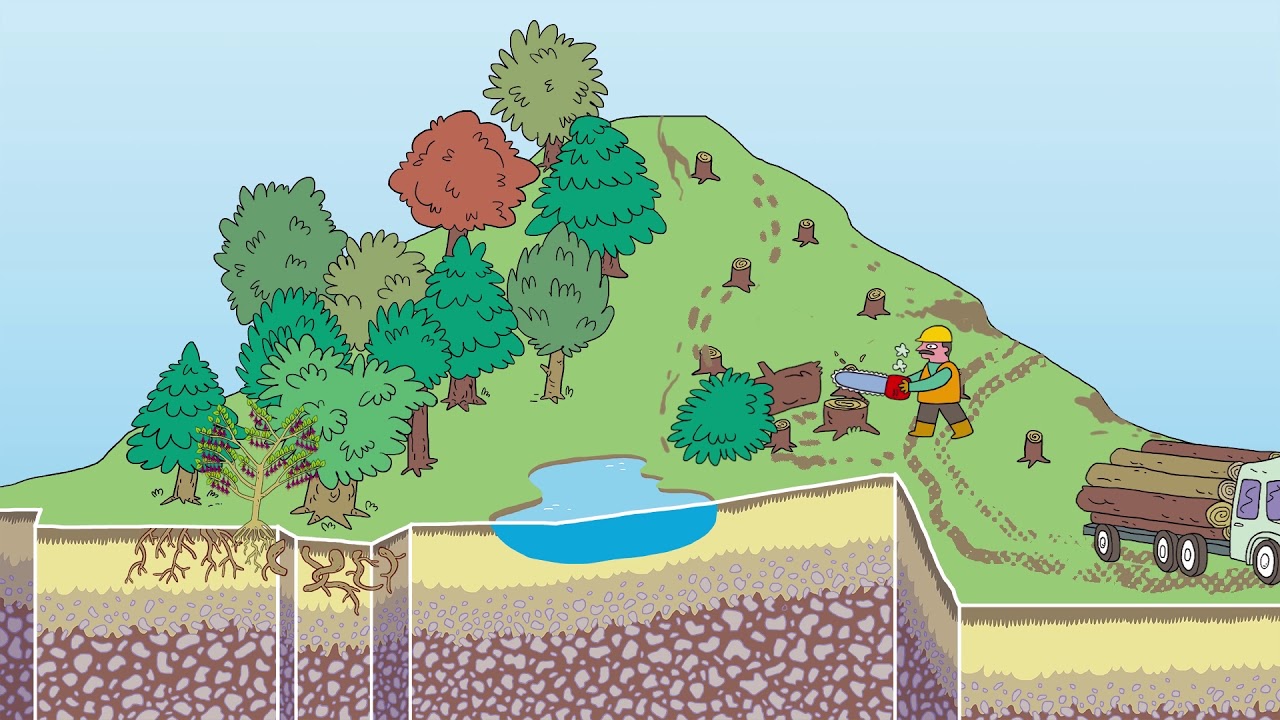 que es transformacion de la naturaleza