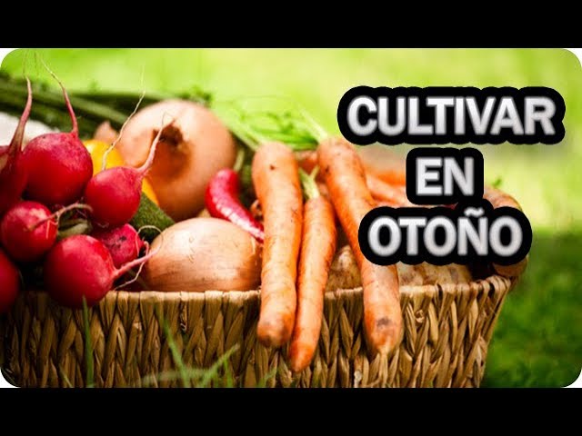 que sembrar en septiembre en andalucía