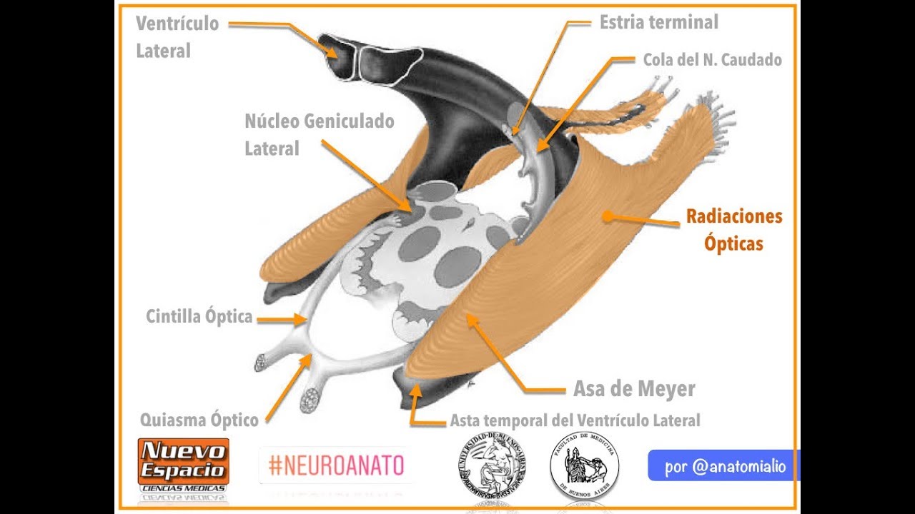 que son las radiaciones opticas