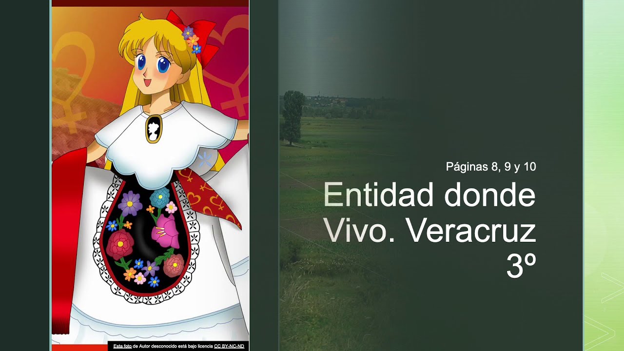 que tipo de relieve hay en veracruz