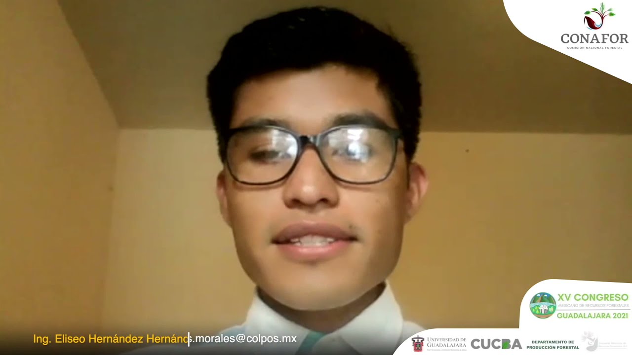 tipo de suelo de los manglares