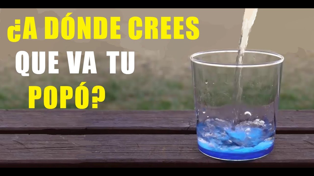 a donde van los desechos humanos