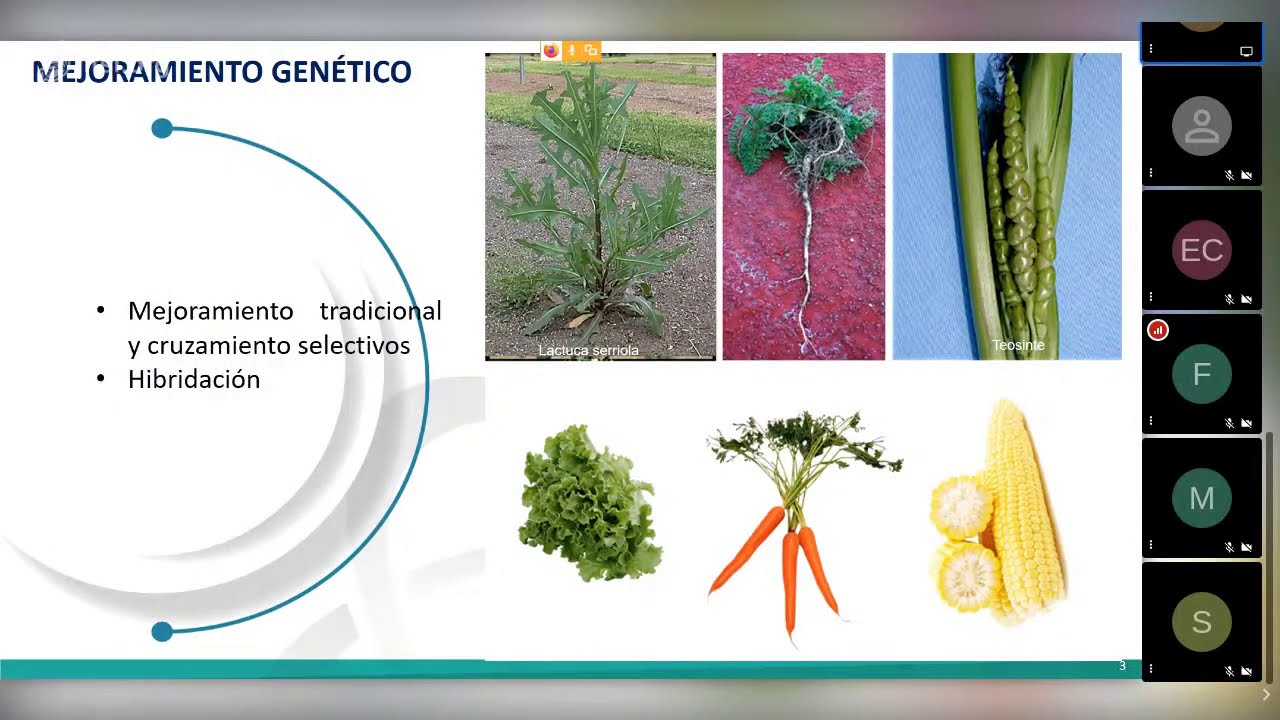 aplicaciones nucleares en la agricultura
