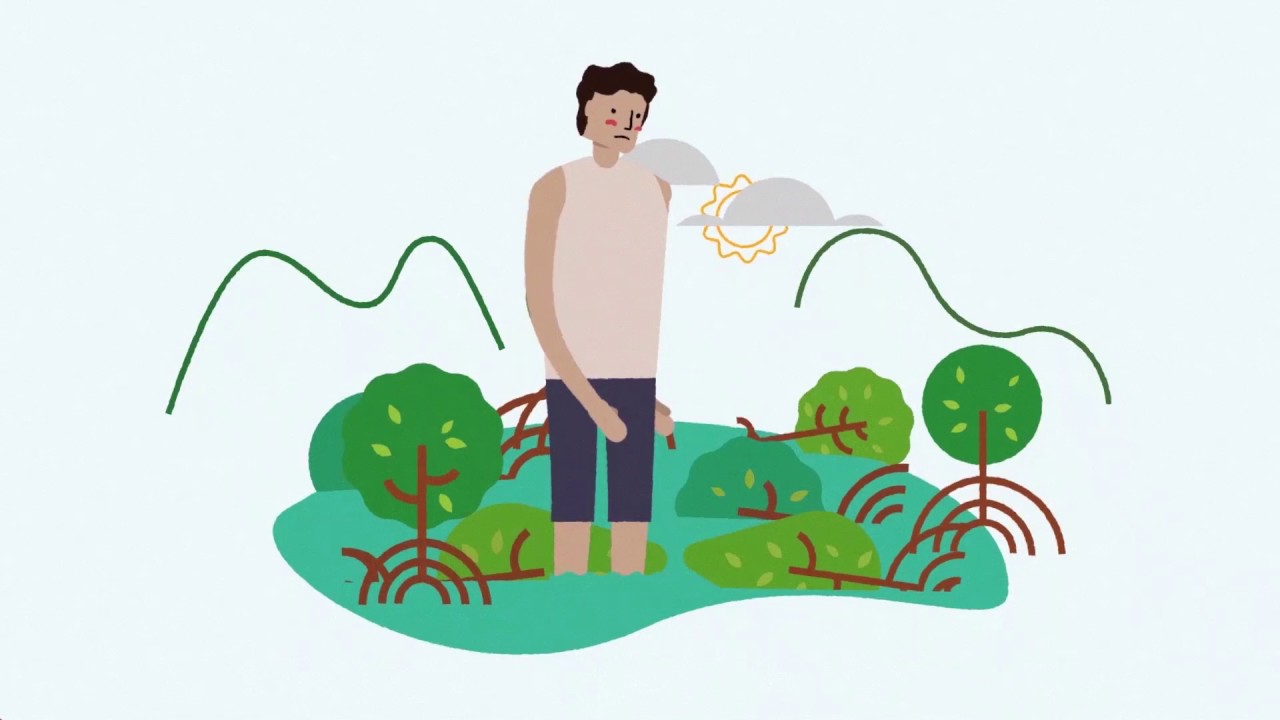 conservacion de las areas protegidas