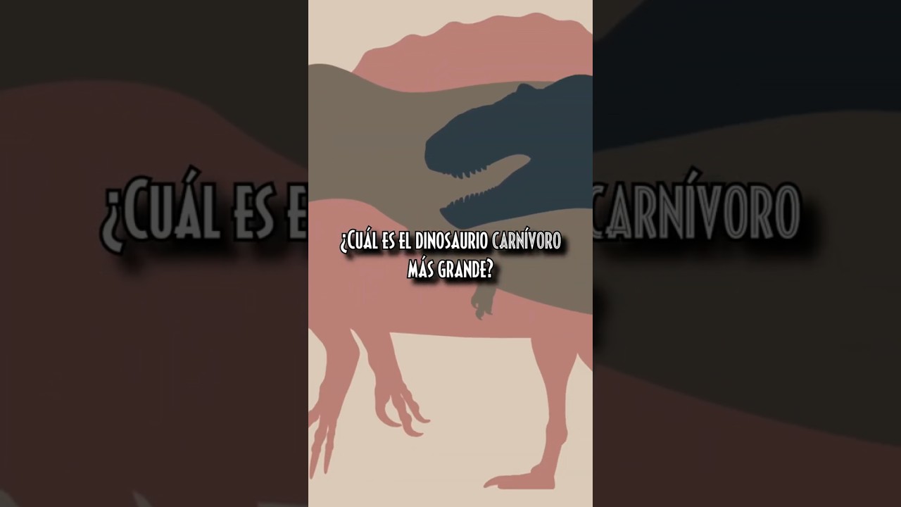 cuanto median de largo los dinosaurios