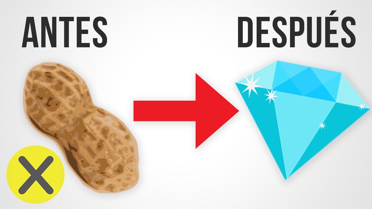 datos curiosos sobre cientificos relevantes