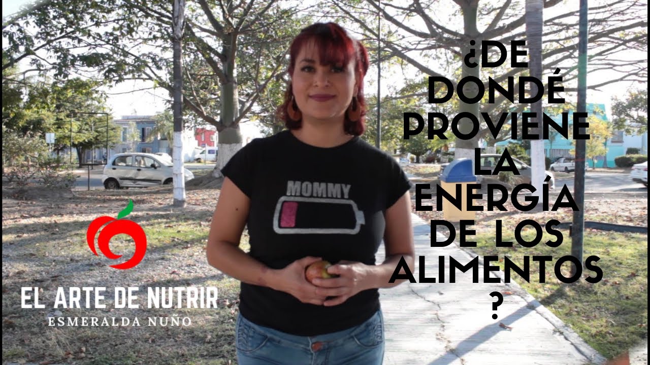 de dónde proviene la energía de los alimentos