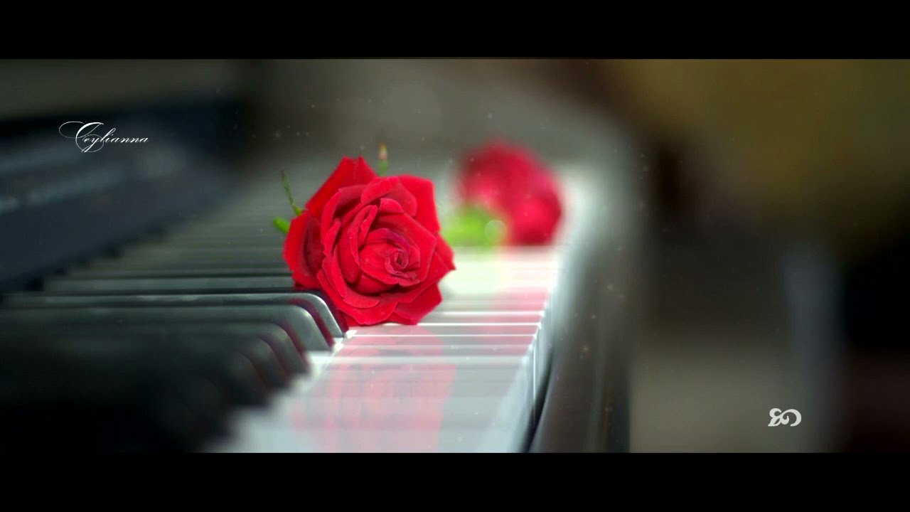 esta rosa va hasta el cielo