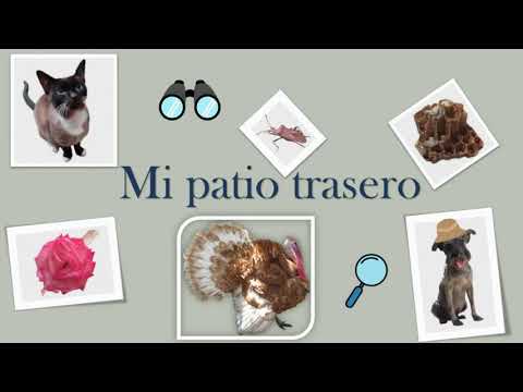 flora y fauna en puebla