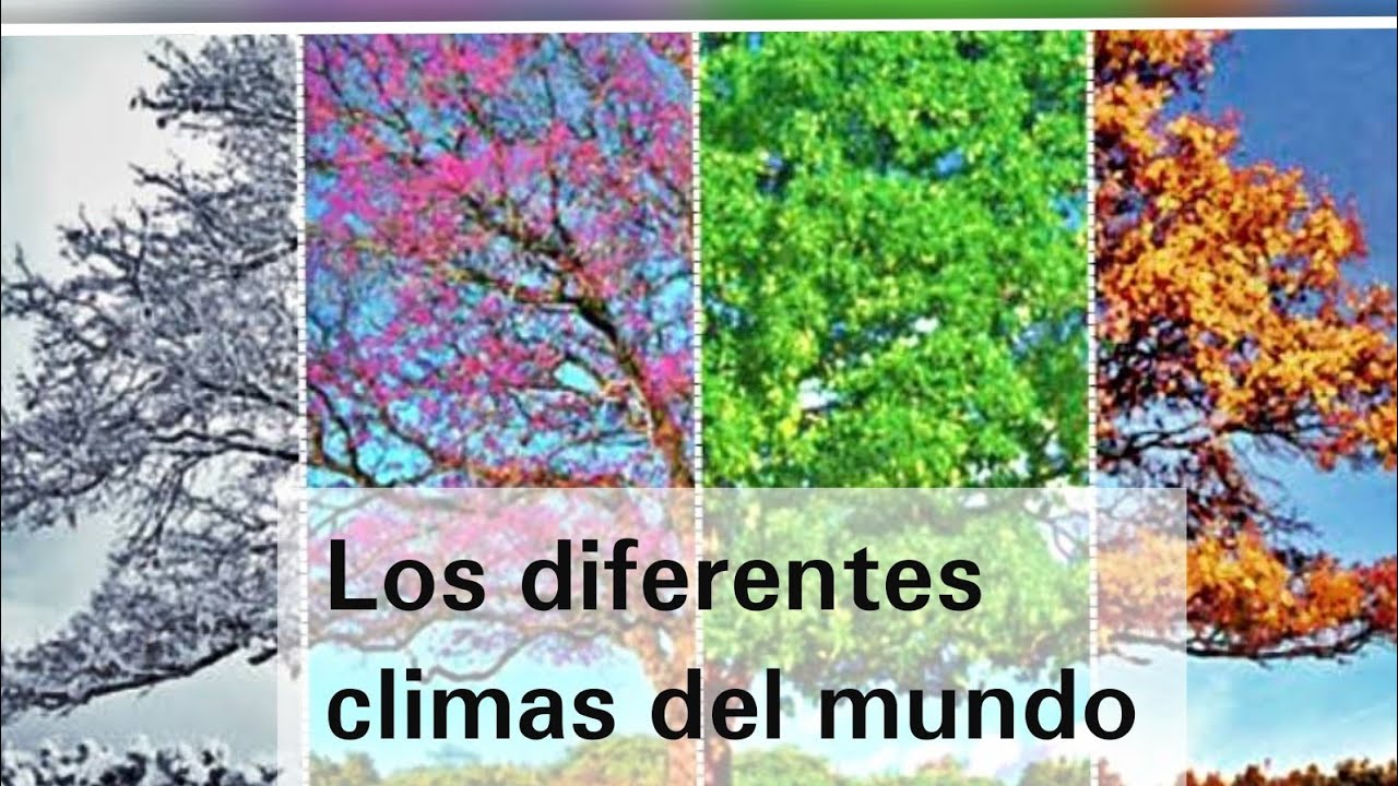los diferentes climas del mundo geografia