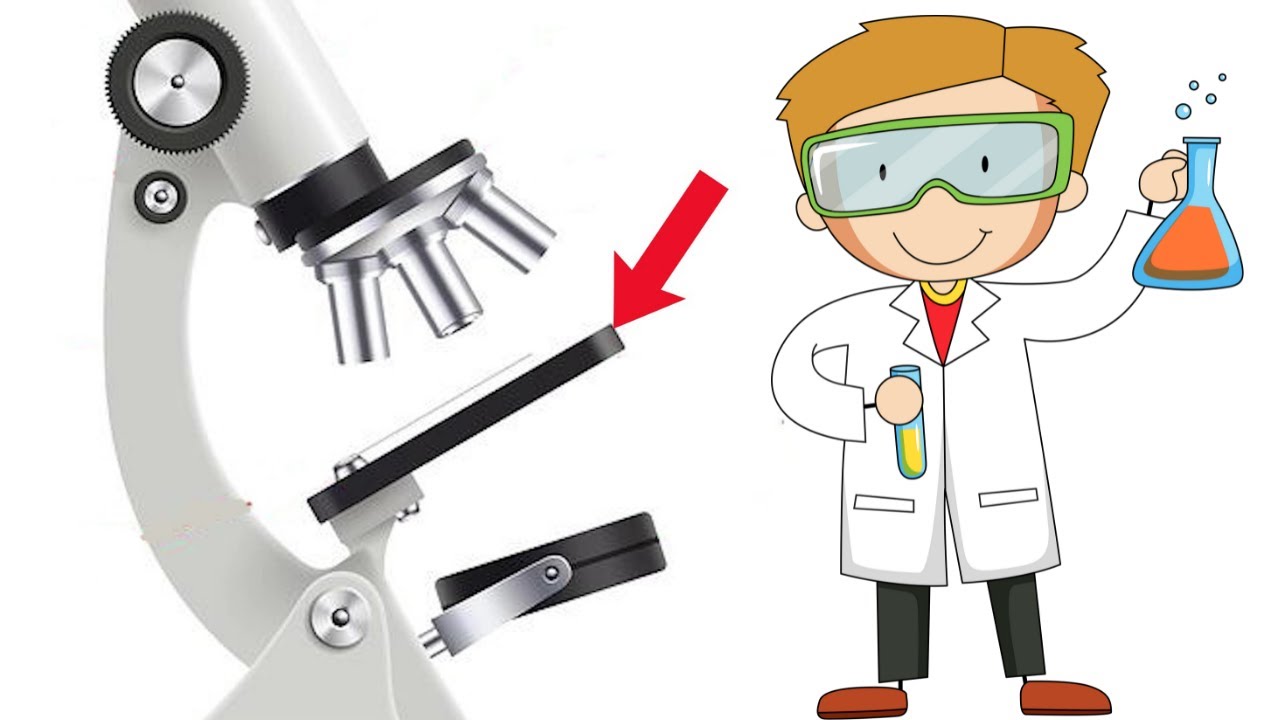 partes del telescopio y sus funciones