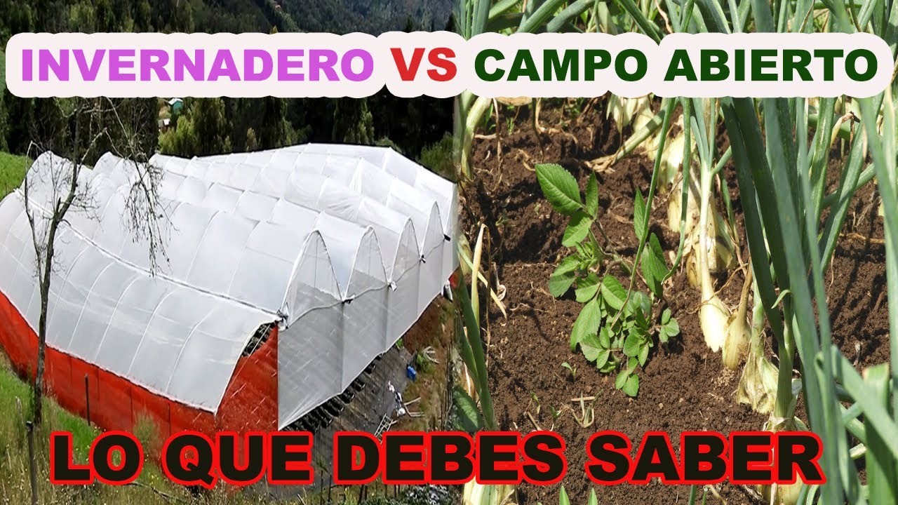 porque la tierra se compara con un invernadero